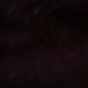 Meet your Posher, Katelyn